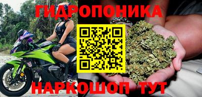 ECSTASY Обь